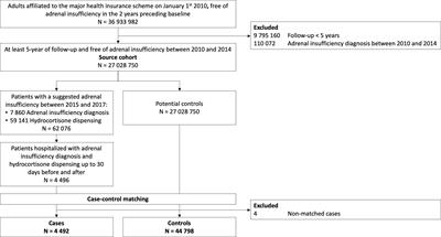Statin treatment is not associated with an increased risk of adrenal insufficiency in real-world setting